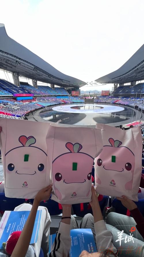 开云体育下载中心：第十四届全运会群众项目五人制足球比赛吹响开幕哨