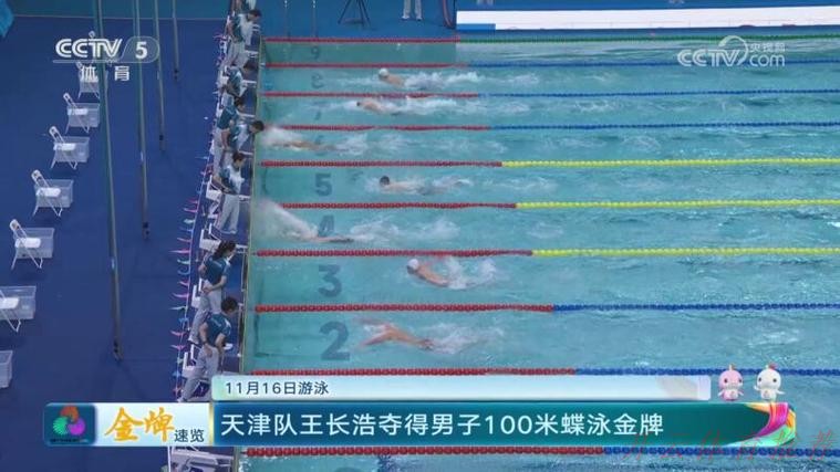 开云网址：11月16日全运会金牌速览